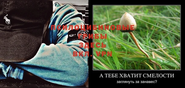 таблы Струнино
